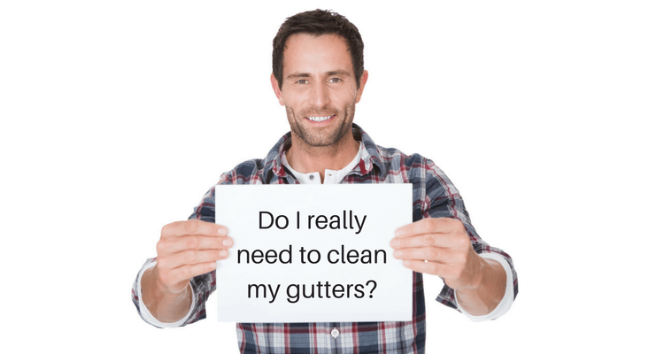 Why Clean Your Gutters? – Q&A With Aadams Tree and Landscaping